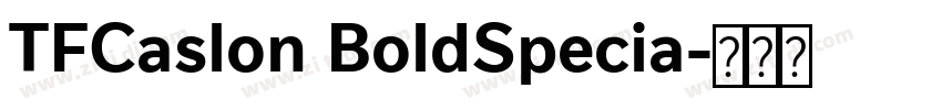 TFCaslon BoldSpecia字体转换